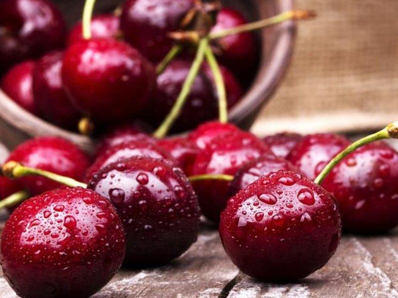 Вишня купить саженцы из питомника в Уссурийске